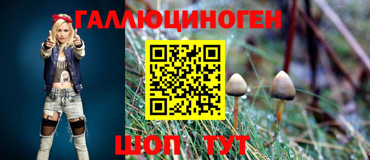 Псилоцибиновые грибы MAGIC MUSHROOMS  Вход с VPN  Нижний Тагил 